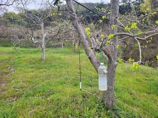 이출호님의 감 · 자유게시판 작성글 사진