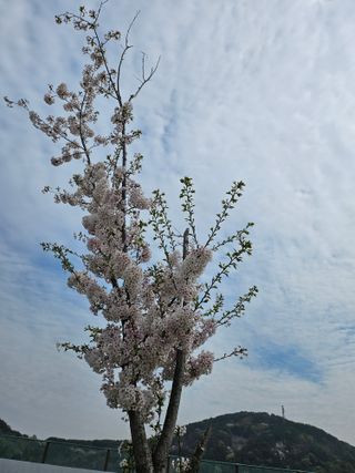 김지연님의 자유주제 · 자유게시판 작성글 사진