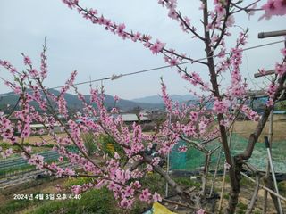 안우용님의 자유주제 · 사진전 작성글 사진