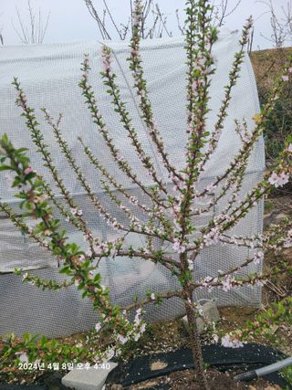 안우용님의 자유주제 · 사진전 작성글 사진