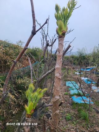 안우용님의 자유주제 · 사진전 작성글 사진