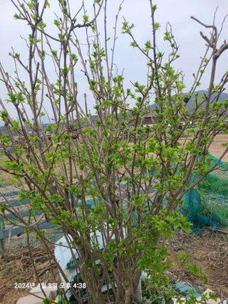 안우용님의 자유주제 · 사진전 작성글 사진