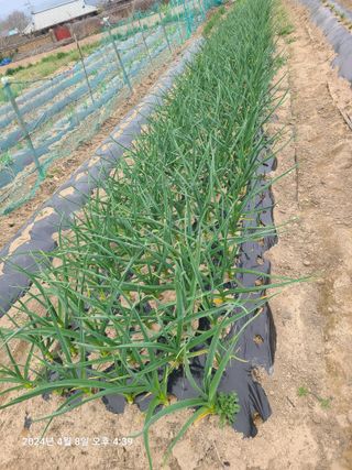 안우용님의 자유주제 · 사진전 작성글 사진