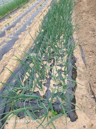 안우용님의 자유주제 · 사진전 작성글 사진