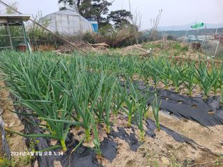안우용님의 자유주제 · 사진전 작성글 사진