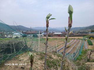 안우용님의 자유주제 · 사진전 작성글 사진