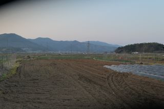 김영철님의 들깨 · 영농일지 작성글 사진