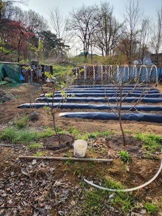 예은농장님의 자유주제 · 자유게시판 작성글 사진