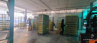 노란토끼님의 벼 · 영농일지 작성글 사진