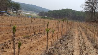 강병준님의 농사, 무엇이든 물어보세요! · 참여글 작성글 사진