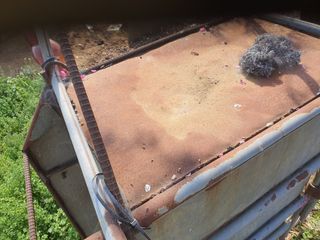 김정년님의 자유주제 · 자유게시판 작성글 사진