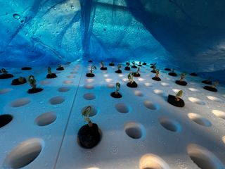 윤대권님의 상추 · 영농일지 작성글 사진