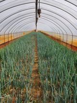 팜모닝 모임 반장님 칭찬해요·참여글 게시글 이미지