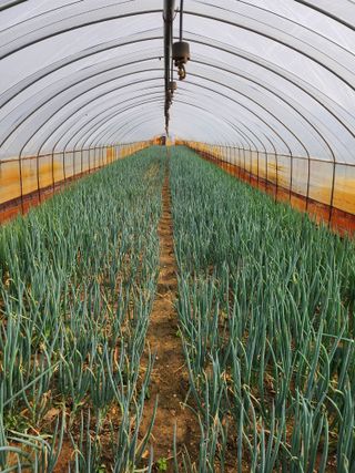 황영선님의 모임 반장님 칭찬해요 · 참여글 작성글 사진