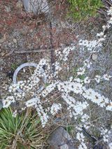 팜모닝 모임 반장님 칭찬해요·참여글 게시글 이미지