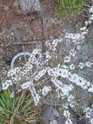 인생은나그네님의 모임 반장님 칭찬해요 · 참여글 작성글 사진