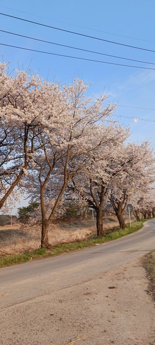 산양 위만(엄문섭)님의 모임 반장님 칭찬해요 · 참여글 작성글 사진