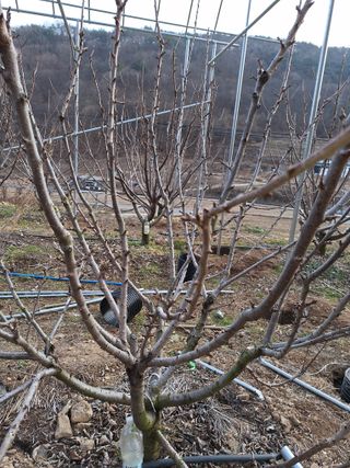 베리조은농원님의 모임 반장님 칭찬해요 · 참여글 작성글 사진