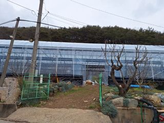 베리조은농원님의 모임 반장님 칭찬해요 · 참여글 작성글 사진