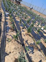 팜모닝 자유주제·칭찬해요 게시글 이미지