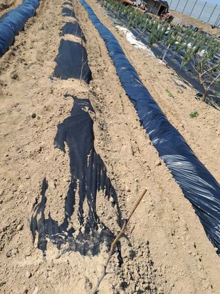 김용갑님의 자유주제 · 칭찬해요 작성글 사진