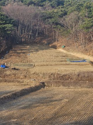 김기용님의 모임 반장님 칭찬해요 · 참여글 작성글 사진