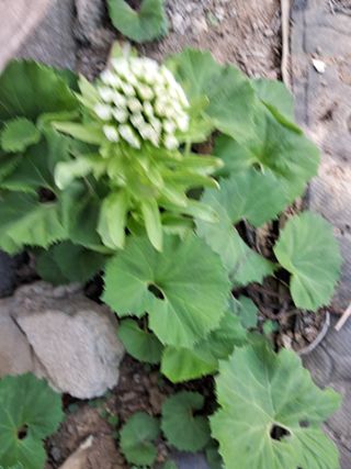 두릅나무21460님의 모임 반장님 칭찬해요 · 참여글 작성글 사진