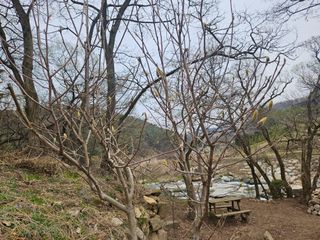 채경희님의 자유주제 · 자유게시판 작성글 사진