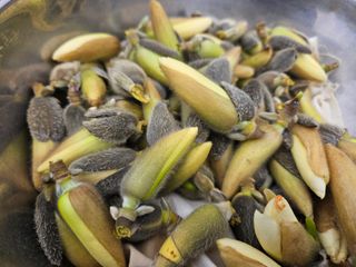 채경희님의 자유주제 · 자유게시판 작성글 사진