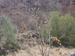 채경희님의 자유주제 · 자유게시판 작성글 사진