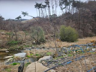 채경희님의 자유주제 · 자유게시판 작성글 사진