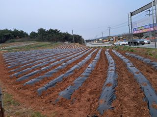 박태현님의 자유주제 · 자유게시판 작성글 사진