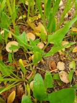 팜모닝 자유주제·자유게시판 게시글 이미지