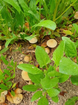 강리~~♡님의 자유주제 · 자유게시판 작성글 사진