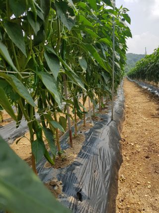 박도연님의 모임 반장님 칭찬해요 · 참여글 작성글 사진