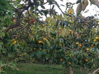 박도연님의 모임 반장님 칭찬해요 · 참여글 작성글 사진