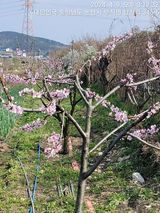 팜모닝 자유주제·자유게시판 게시글 이미지