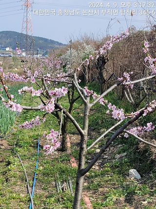 엉터리농부님의 자유주제 · 자유게시판 작성글 사진