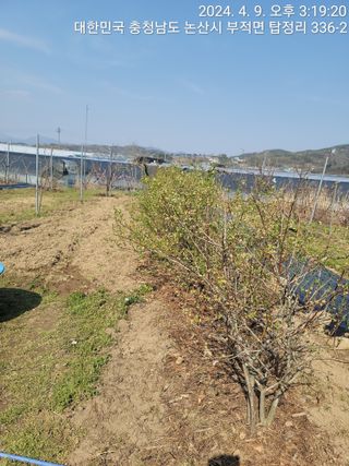 엉터리농부님의 자유주제 · 자유게시판 작성글 사진