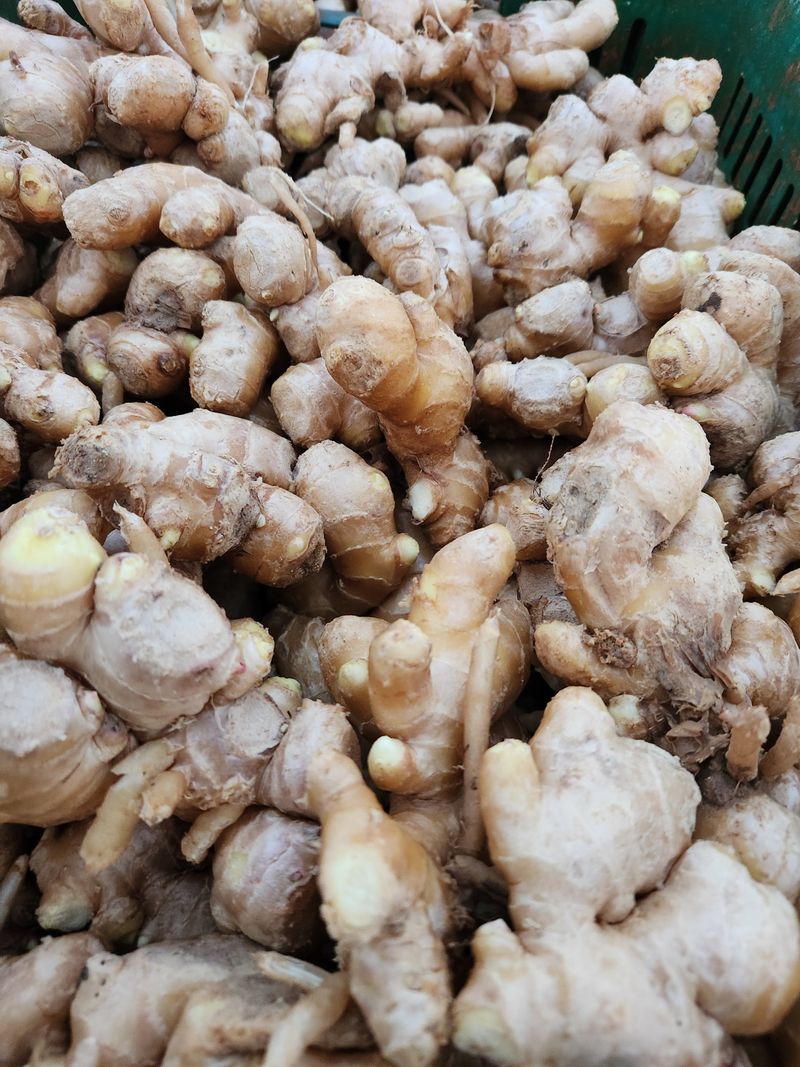 장터 상품 [생강 10키로] 썸네일