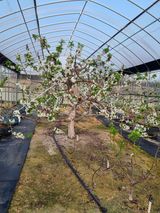 팜모닝 자유주제·자유게시판 게시글 이미지