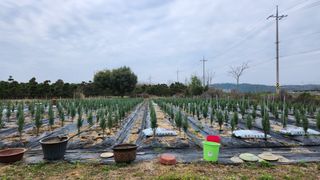 송호원님의 자유주제 · 자유게시판 작성글 사진