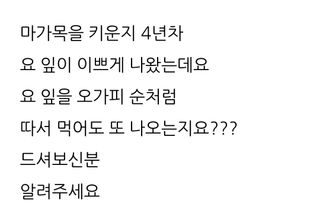 삼성농산님의 자유주제 · 자유게시판 작성글 사진