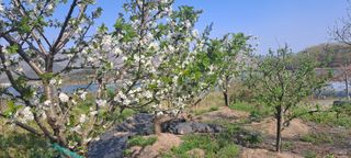 장준재님의 자유주제 · 자유게시판 작성글 사진