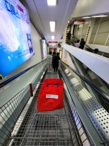 팜모닝 자유주제·자유게시판 게시글 이미지