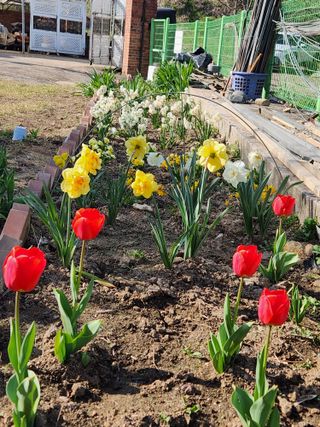 이상준님의 자유주제 · 자유게시판 작성글 사진
