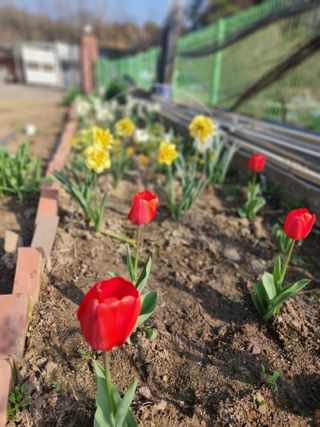 이상준님의 자유주제 · 자유게시판 작성글 사진