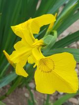 팜모닝 · 게시글 이미지