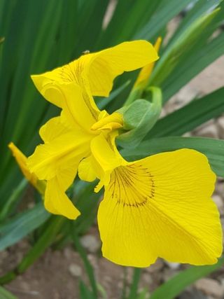 배영이님의 작성글 사진