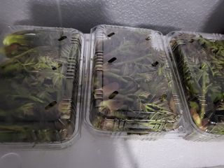 문보라님의 작성글 사진